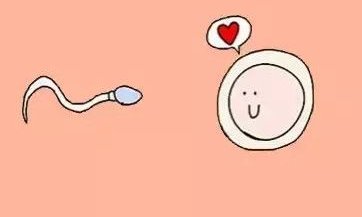 2026年北京做试管婴儿的私立医院有几家？