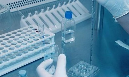 地屈吃少了一天会影响试管移植嘛？正确服用方法很正确