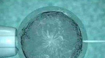 囊胚移植后塞药太多有味道怎么办早知道，冲洗效果好可试